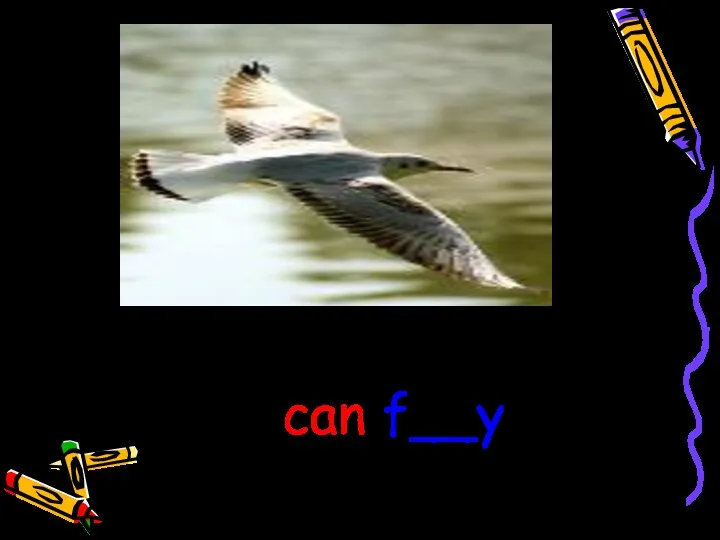 A bird can f__y