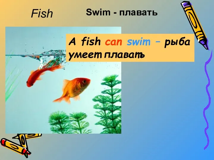 A fish can swim – рыба умеет плавать Fish Swim - плавать