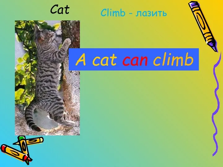 Cat Climb - лазить A cat can climb