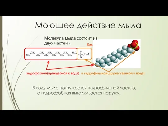 Моющее действие мыла В воду мыло погружается гидрофильной частью, а