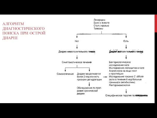 АЛГОРИТМ ДИАГНОСТИЧЕСКОГО ПОИСКА ПРИ ОСТРОЙ ДИАРЕЕ