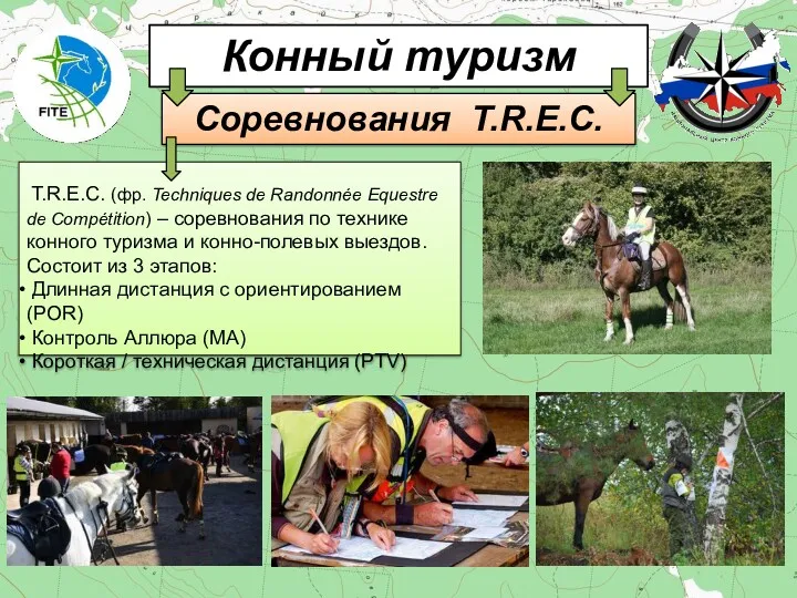 Соревнования T.R.E.C. Конный туризм T.R.E.C. (фр. Techniques de Randonnée Equestre de Compétition) –