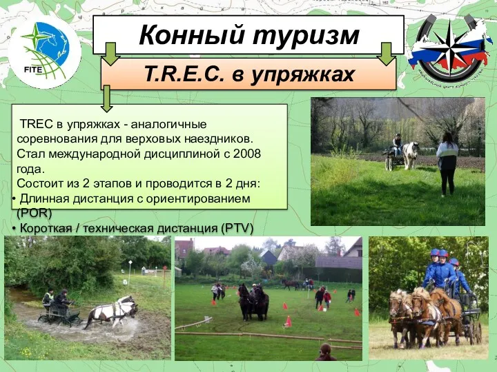 T.R.E.C. в упряжках Конный туризм TREC в упряжках - аналогичные соревнования для верховых