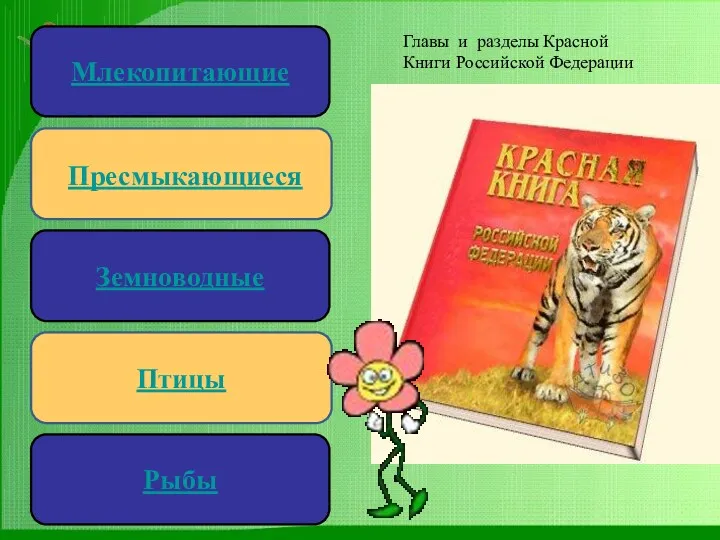 Пресмыкающиеся Земноводные Птицы Млекопитающие Рыбы Главы и разделы Красной Книги Российской Федерации