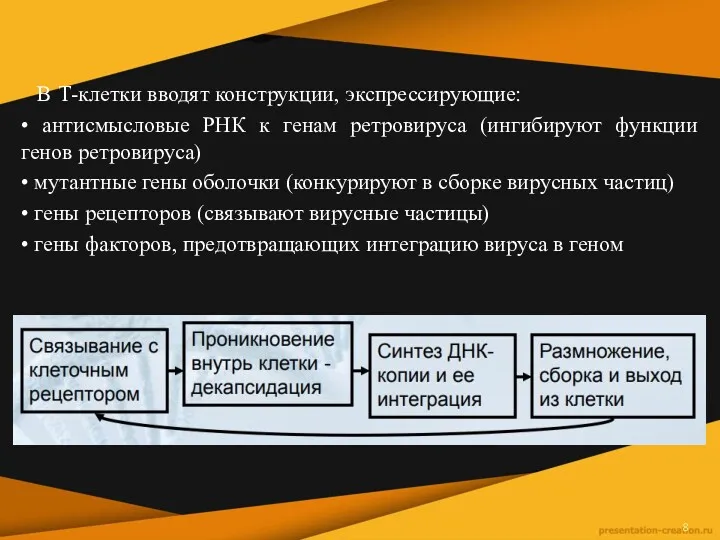 В Т-клетки вводят конструкции, экспрессирующие: • антисмысловые РНК к генам