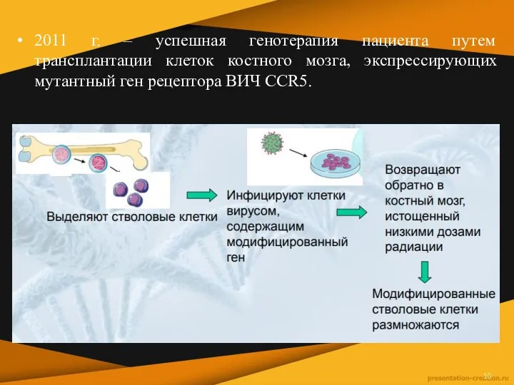 2011 г. – успешная генотерапия пациента путем трансплантации клеток костного