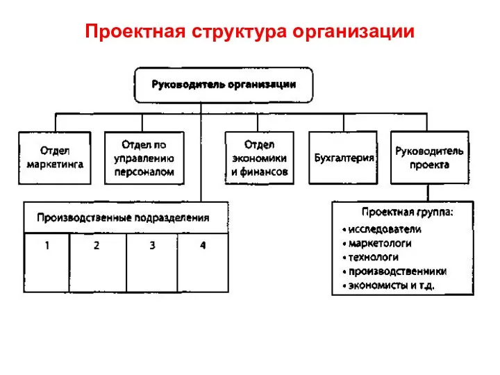 Проектная структура организации
