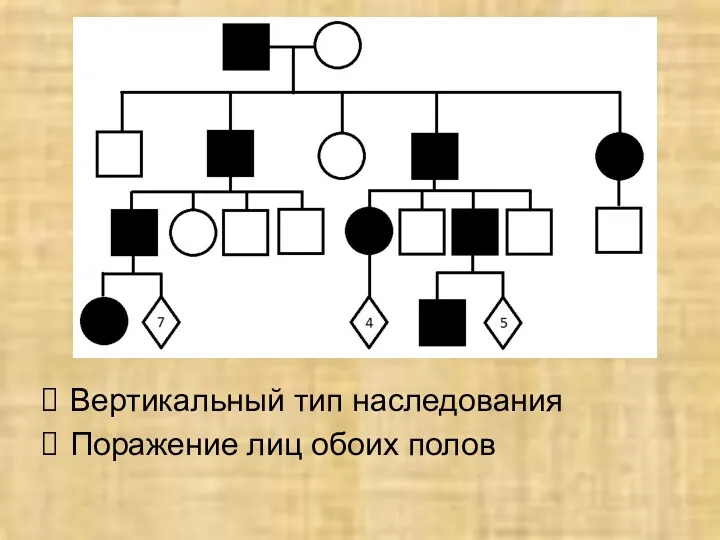 Вертикальный тип наследования Поражение лиц обоих полов