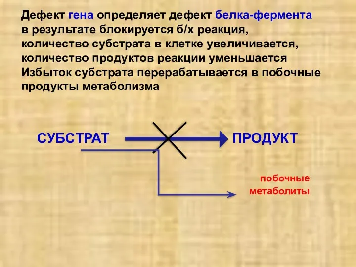 Дефект гена определяет дефект белка-фермента в результате блокируется б/х реакция,