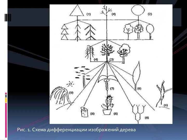 Рис. 1. Схема дифференциации изображений дерева