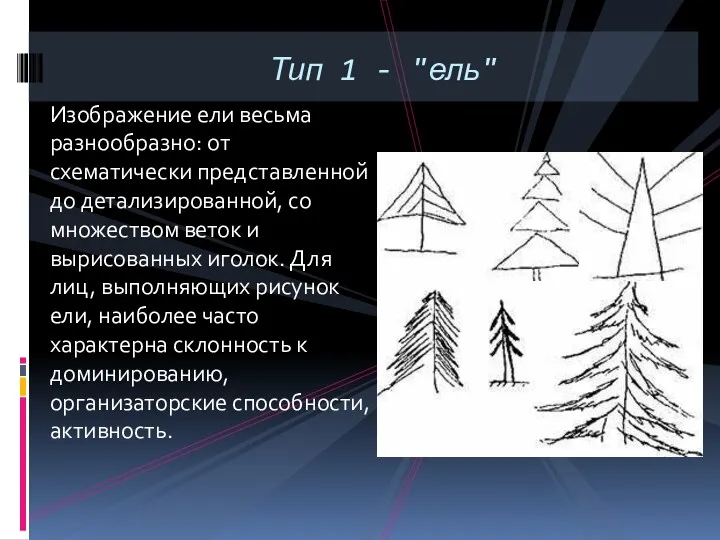 Изображение ели весьма разнообразно: от схематически представленной до детализированной, со