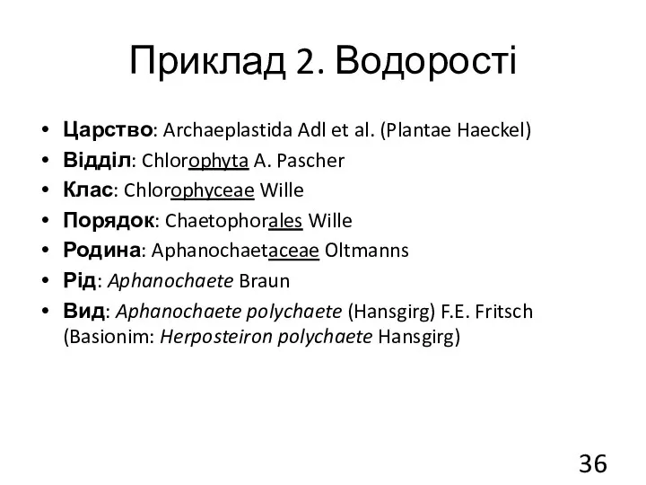 Приклад 2. Водорості Царство: Archaeplastida Adl et al. (Plantae Haeckel)