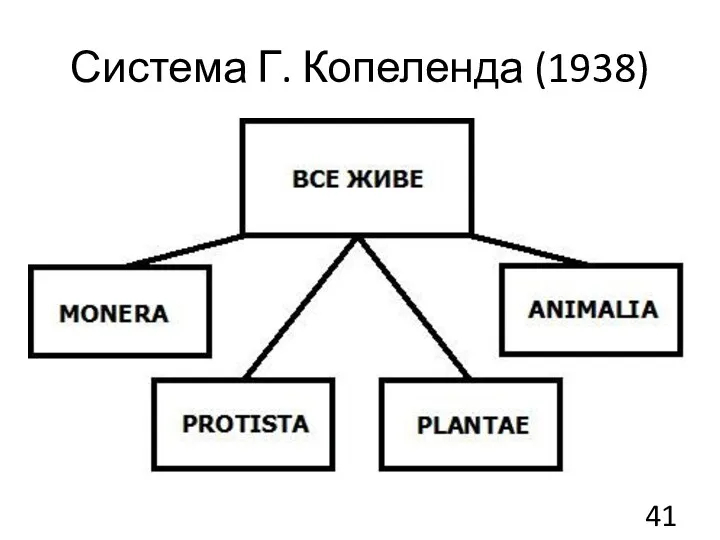 Система Г. Копеленда (1938)