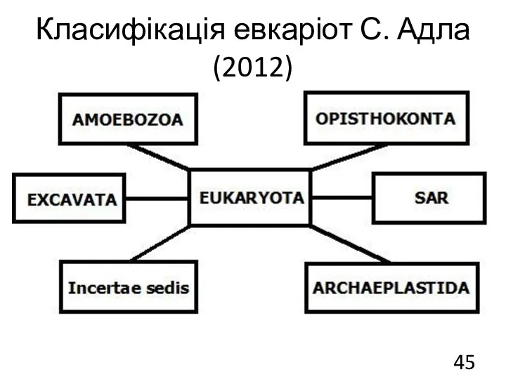 Класифікація евкаріот С. Адла (2012)