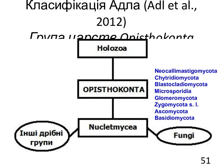 Класифікація Адла (Adl et al., 2012) Група царств Opisthokonta Neocallimastigomycota