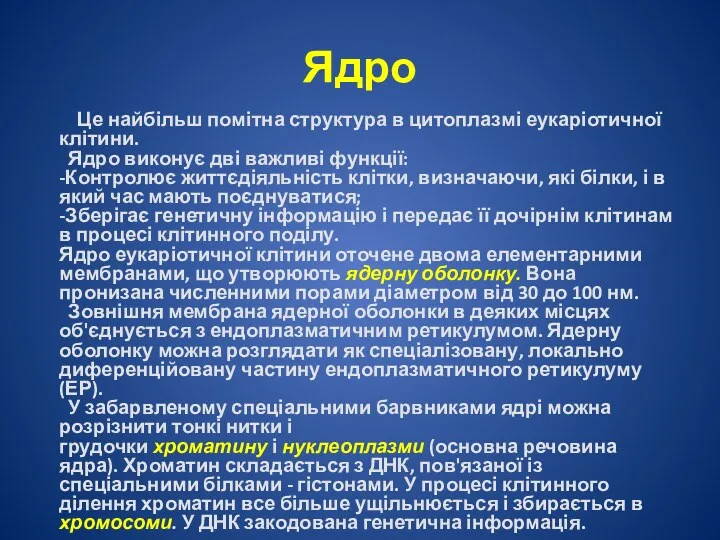 Ядро Це найбільш помітна структура в цитоплазмі еукаріотичної клітини. Ядро