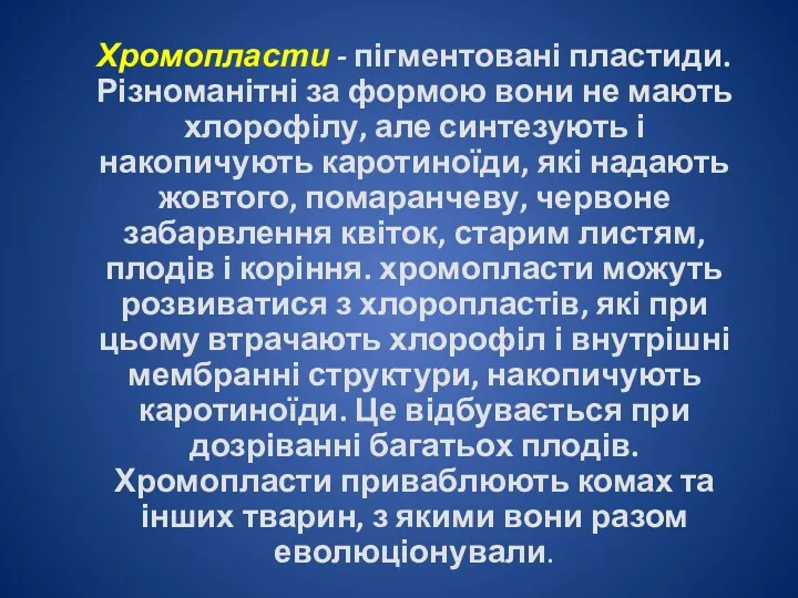 Хромопласти - пігментовані пластиди. Різноманітні за формою вони не мають