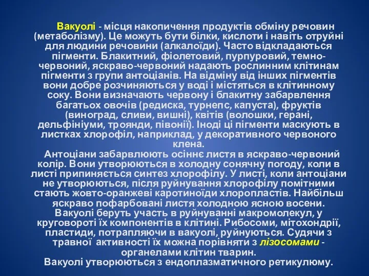 Вакуолі - місця накопичення продуктів обміну речовин (метаболізму). Це можуть