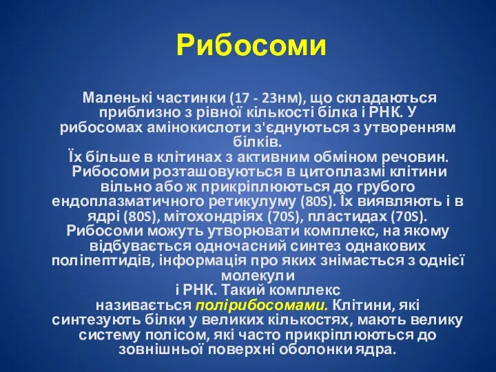 Рибосоми Маленькі частинки (17 - 23нм), що складаються приблизно з