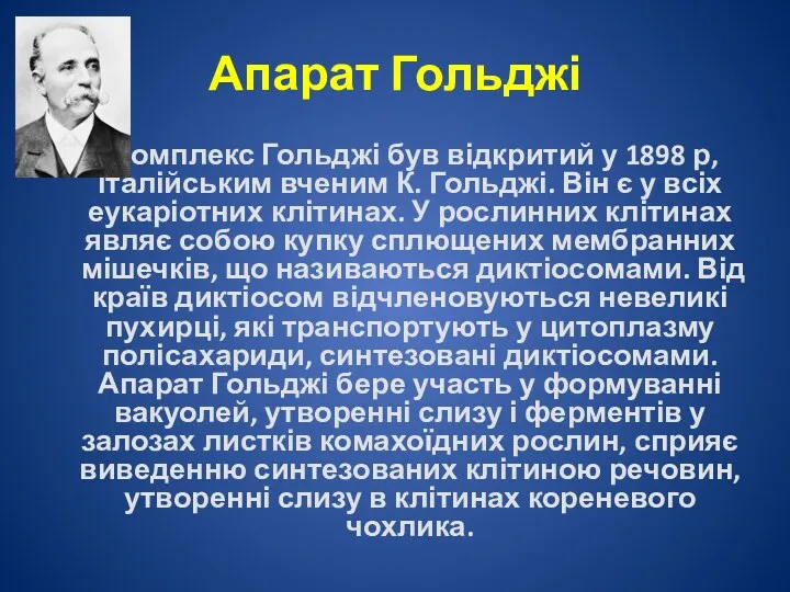 Апарат Гольджі Комплекс Гольджі був відкритий у 1898 р, італійським