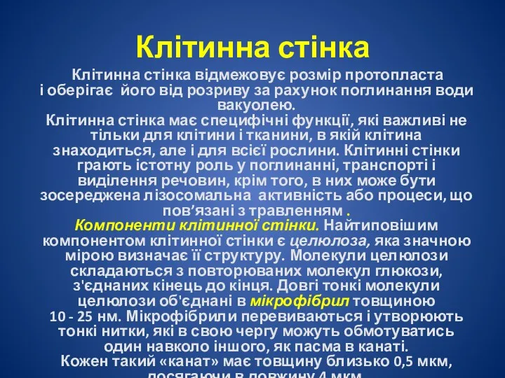 Клітинна стінка Клітинна стінка відмежовує розмір протопласта і оберігає його