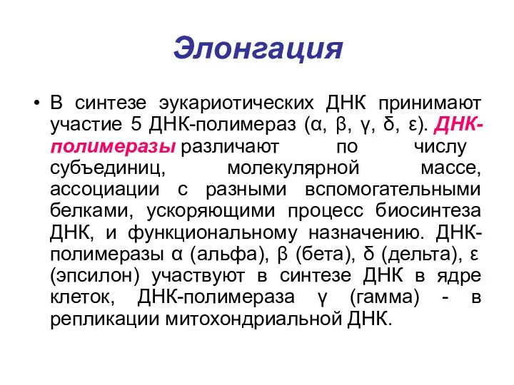 Элонгация В синтезе эукариотических ДНК принимают участие 5 ДНК-полимераз (α,