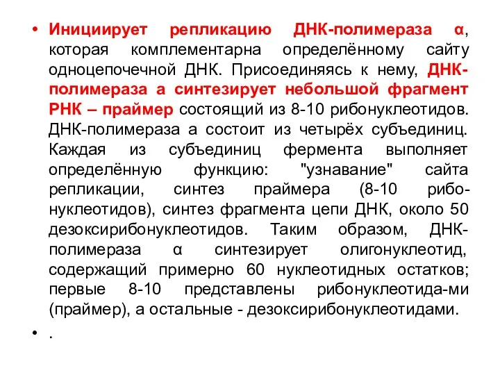 Инициирует репликацию ДНК-полимераза α, которая комплементарна определённому сайту одноцепочечной ДНК.