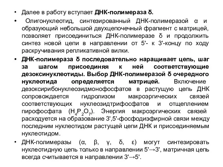 Далее в работу вступает ДНК-полимераза δ. Олигонуклеотид, синтезированный ДНК-полимеразой α