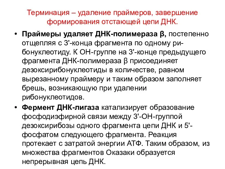 Терминация – удаление праймеров, завершение формирования отстающей цепи ДНК. Праймеры