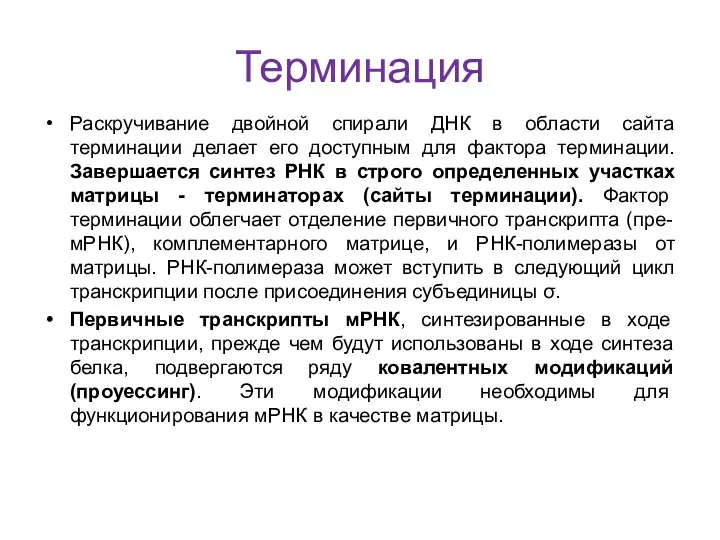 Терминация Раскручивание двойной спирали ДНК в области сайта терминации делает