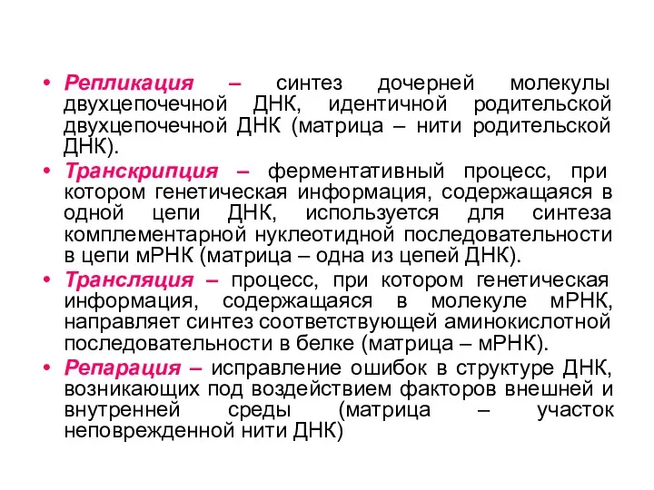 Репликация – синтез дочерней молекулы двухцепочечной ДНК, идентичной родительской двухцепочечной