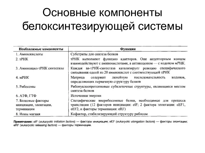 Основные компоненты белоксинтезирующей системы