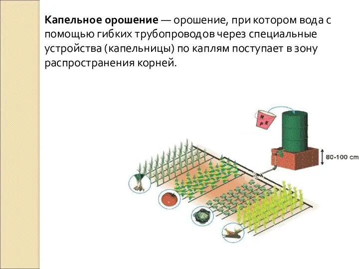 Капельное орошение — орошение, при котором вода с помощью гибких