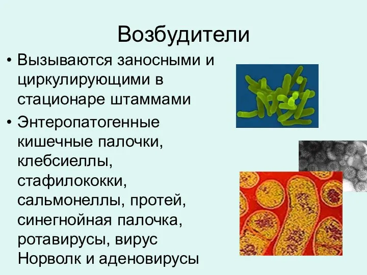 Возбудители Вызываются заносными и циркулирующими в стационаре штаммами Энтеропатогенные кишечные