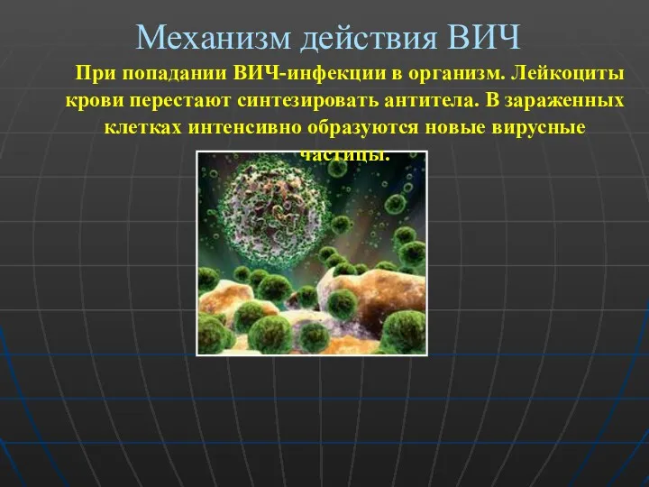 Механизм действия ВИЧ При попадании ВИЧ-инфекции в организм. Лейкоциты крови