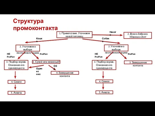 1. Приветствие. Уточняем какой питомец 2. Уточняем о выборе постоянного