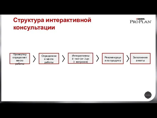 Промоутер определяет место работы Структура интерактивной консультации Определение места работы