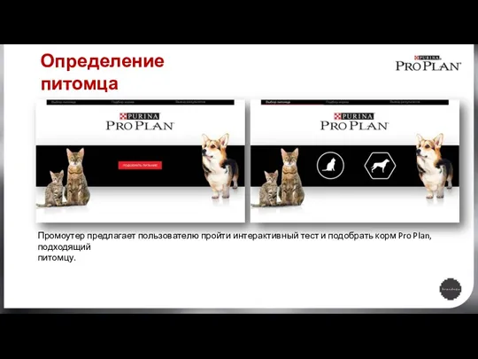 Промоутер предлагает пользователю пройти интерактивный тест и подобрать корм Pro Plan, подходящий питомцу. Определение питомца