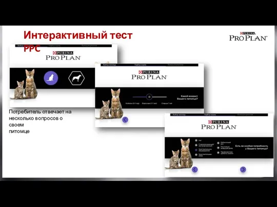 Потребитель отвечает на несколько вопросов о своем питомце Интерактивный тест PPC