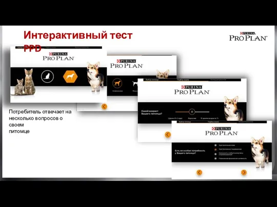 Потребитель отвечает на несколько вопросов о своем питомце Интерактивный тест PPD