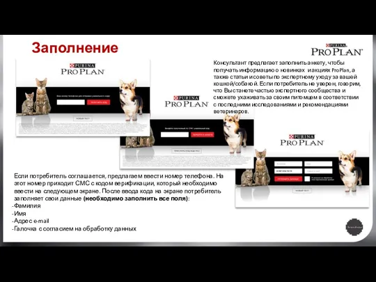 Заполнение анкеты Если потребитель соглашается, предлагаем ввести номер телефона. На