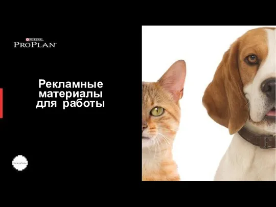 Рекламные материалы для работы