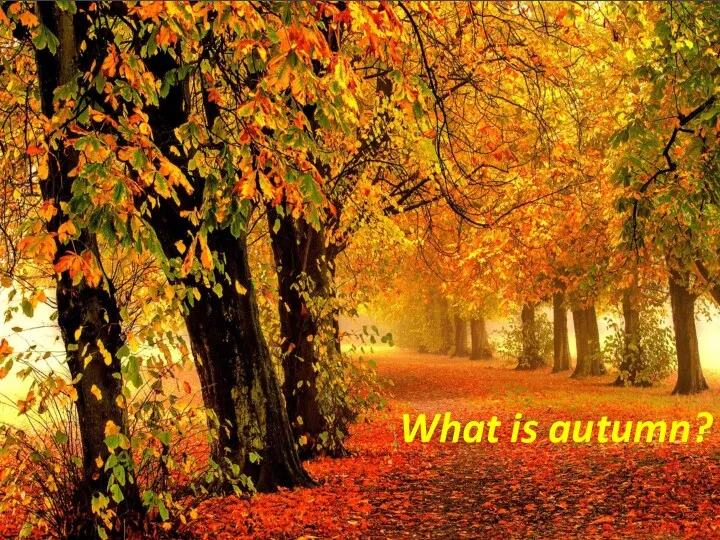 What is autumn?