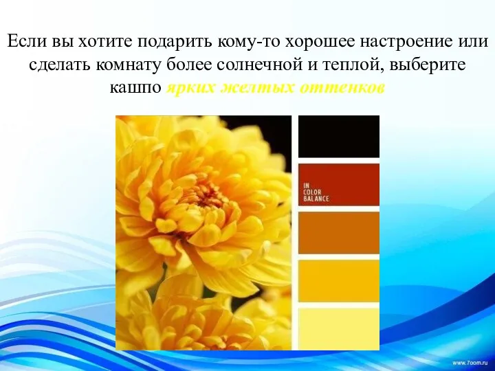 Если вы хотите подарить кому-то хорошее настроение или сделать комнату