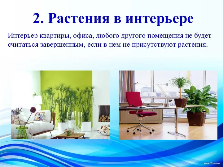 2. Растения в интерьере Интерьер квартиры, офиса, любого другого помещения