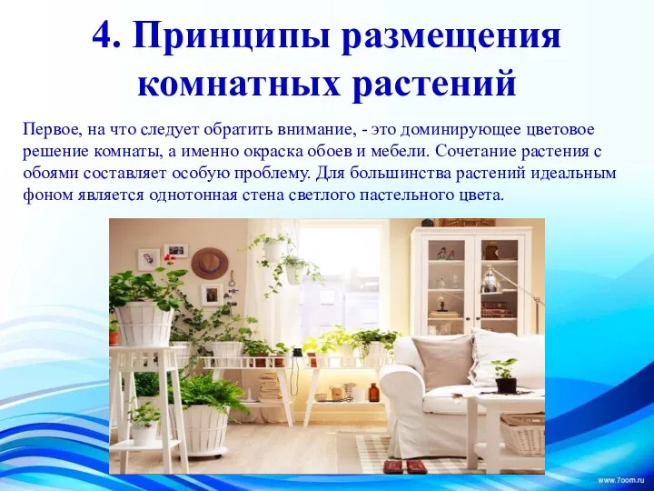 4. Принципы размещения комнатных растений Первое, на что следует обратить