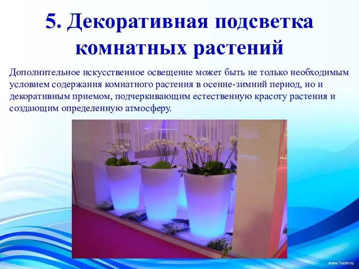 5. Декоративная подсветка комнатных растений Дополнительное искусственное освещение может быть
