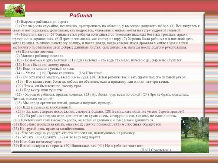 Рябинка (1) Выросла рябинка при дороге. (2) Она выросла случайно,