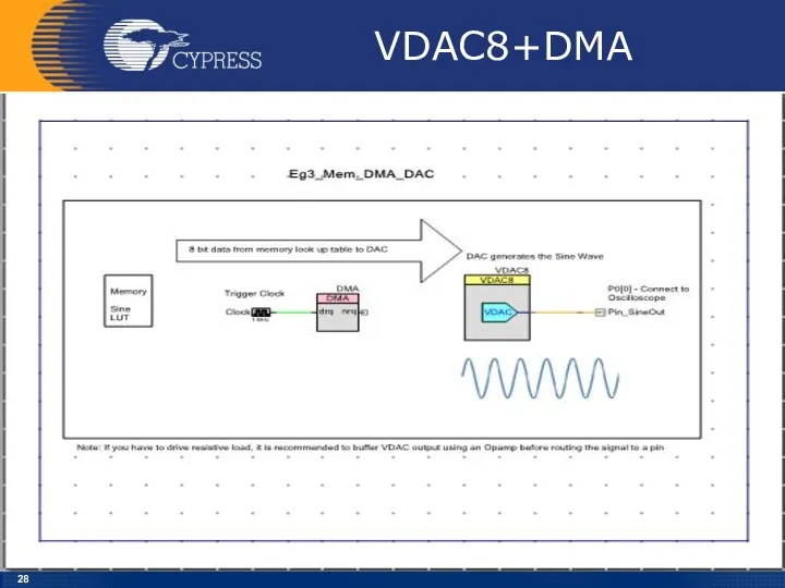 VDAC8+DMA