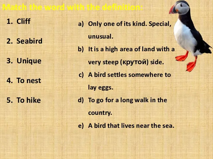 Match the word with the definition: Cliff Seabird Unique To nest To hike